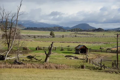 DSC_1013 (Large).JPG